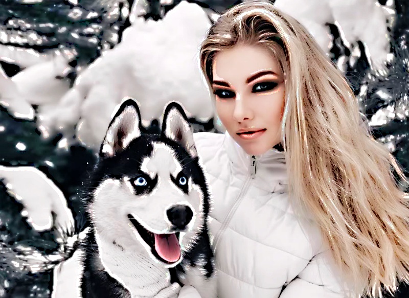 Hot Huskies Allure The Best Pets for Snow Lovers